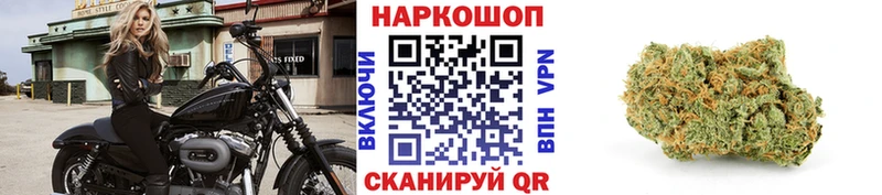 A PVP Искитим