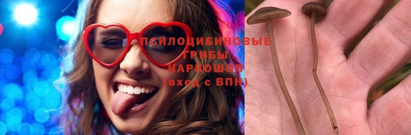 2c-b Няндома