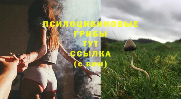 2c-b Няндома