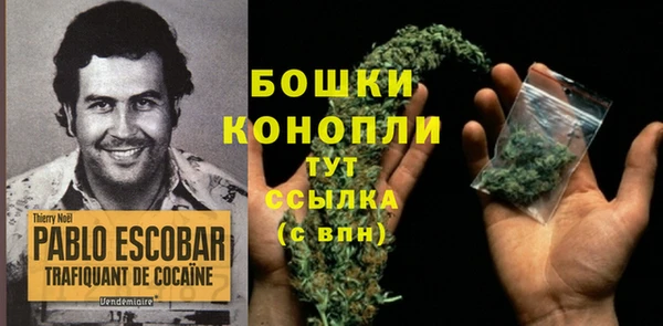 2c-b Няндома