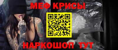 индика Кингисепп
