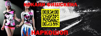 индика Кингисепп