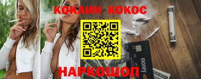 индика Кингисепп