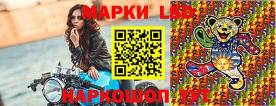 индика Кингисепп