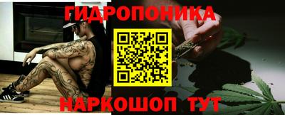 скорость Бийск