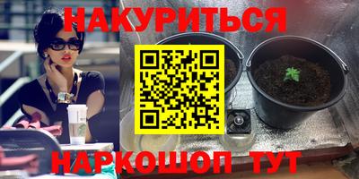 мяу мяу мука Кинель