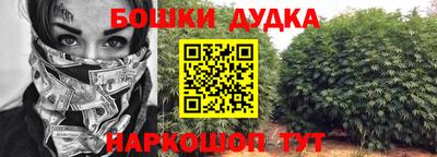индика Кингисепп