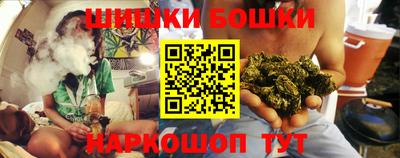 индика Кингисепп