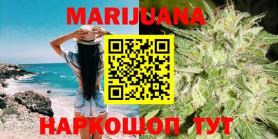 индика Кингисепп