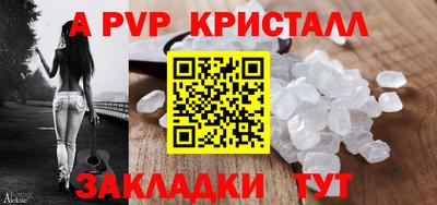 индика Кингисепп