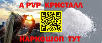 индика Кингисепп