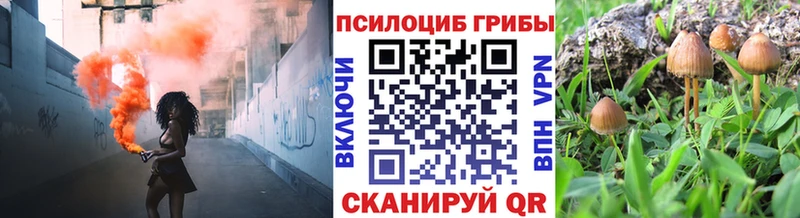 Псилоцибиновые грибы Psilocybine cubensis  купить наркоту  Искитим 