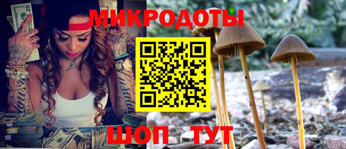 Искитим  Галлюциногенные грибы прущие грибы  Вход с VPN 