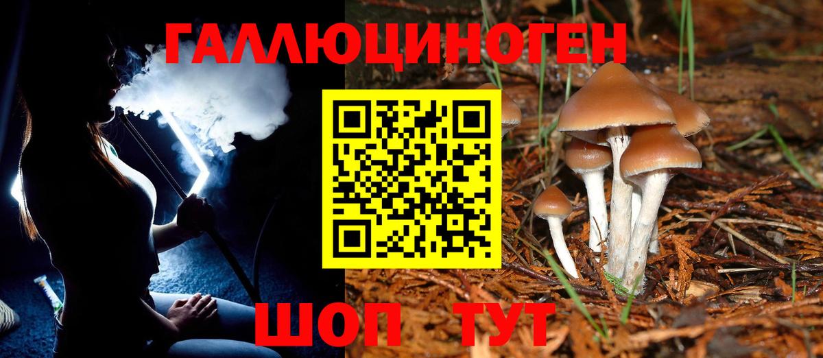 Псилоцибиновые грибы прущие грибы Искитим